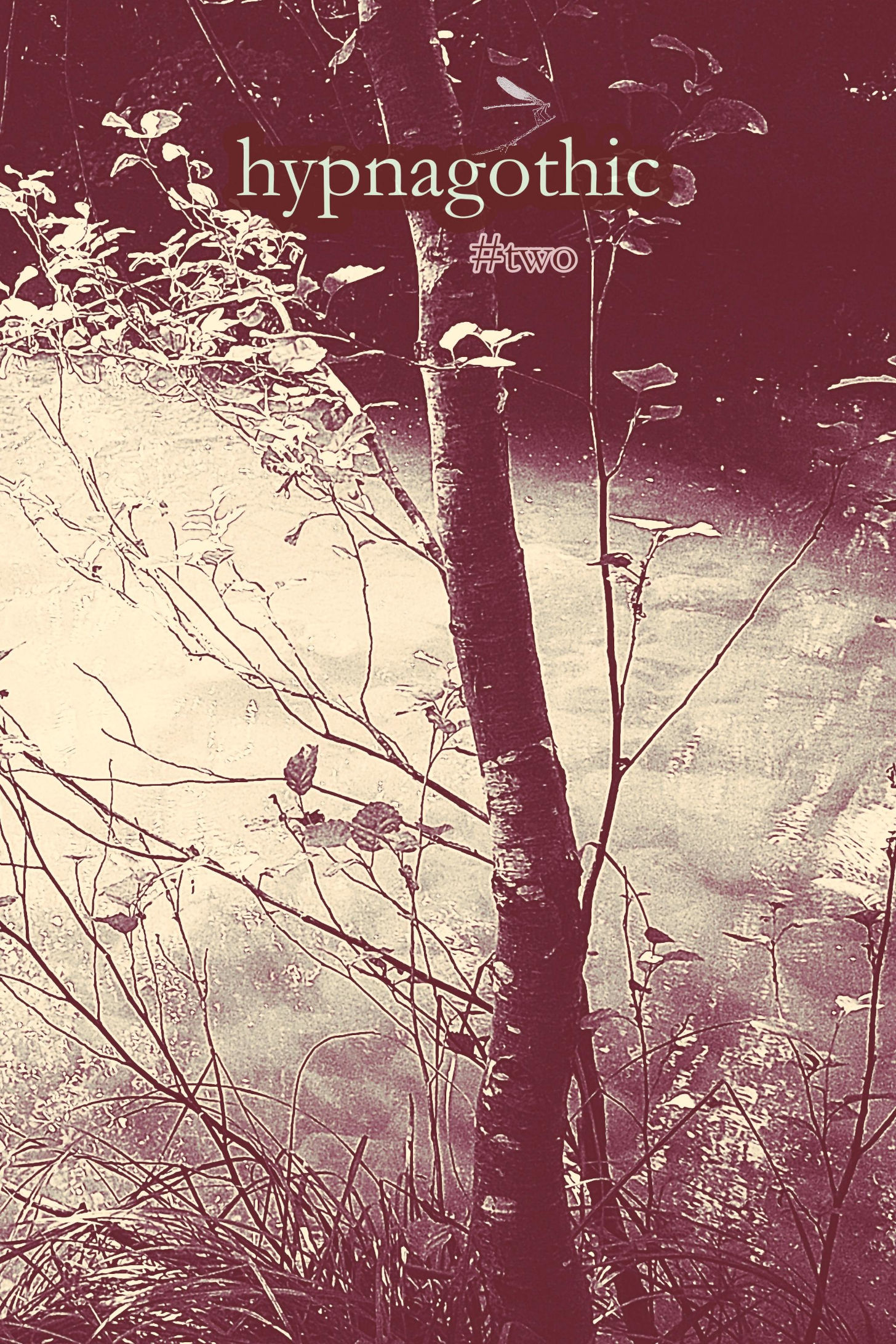 hypnagothic #two